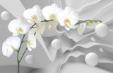 3D Фотообои GM-026 «Белая орхидея на объемном фоне» 330x250 см песок