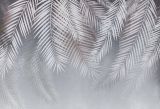 3D Фотообои «Туманный занавес» на флиз.осн. (300 см*240 см) (Песок)
